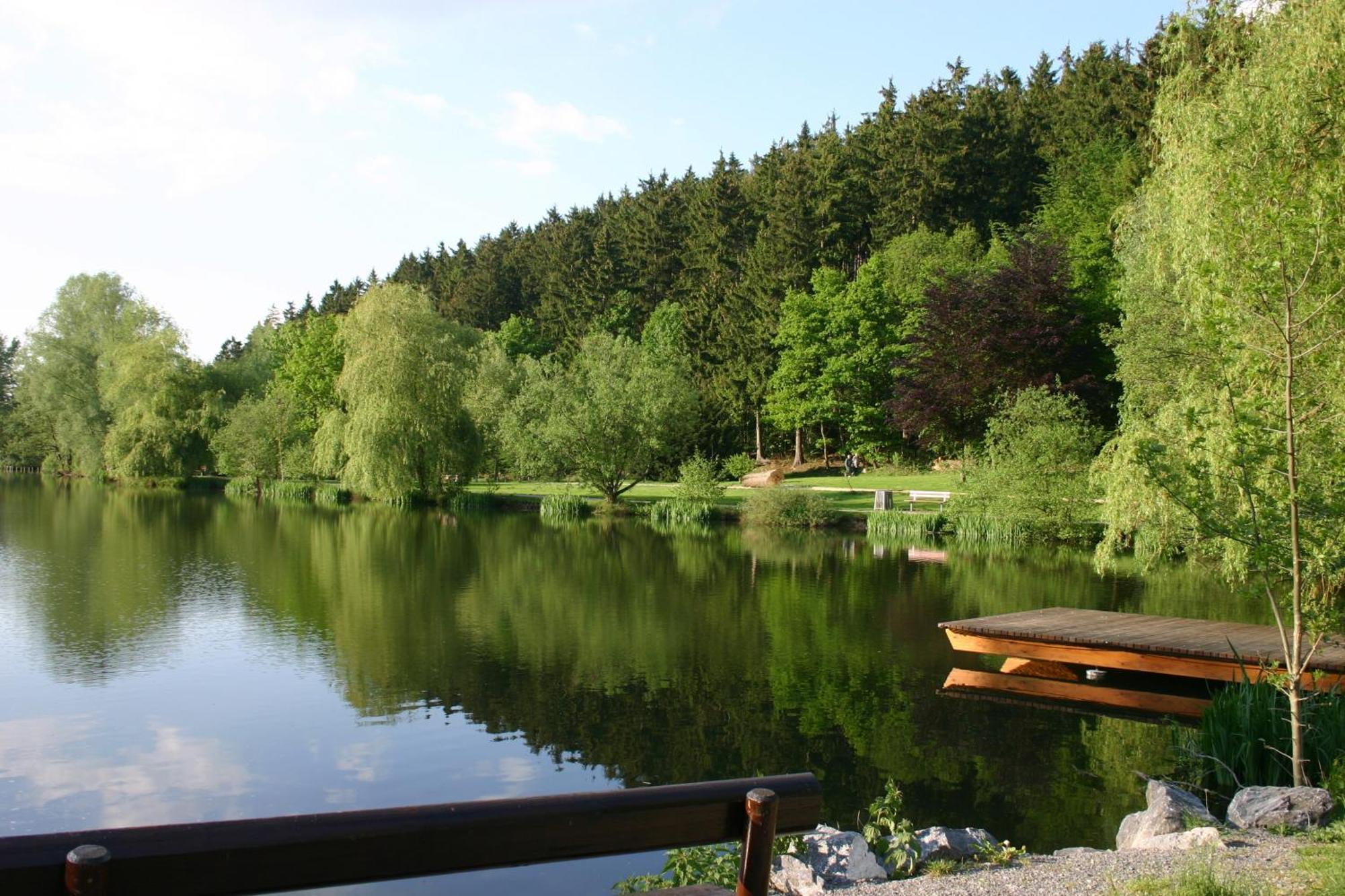 Ferienwohnung "Kirchblick" Im Ferienhaus Blumenhain Бад-Вюнненберг Экстерьер фото